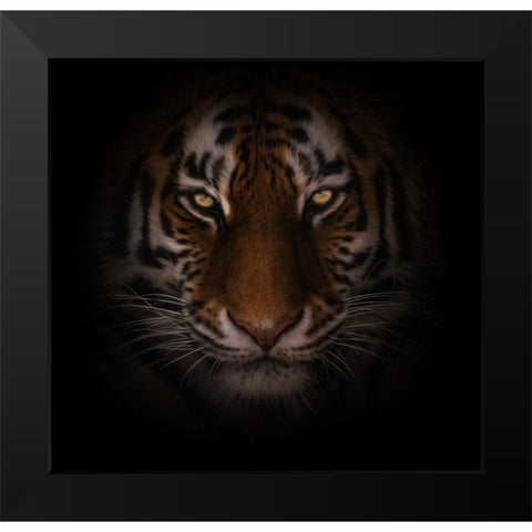 Eyes of Warning Black Modern Wood Framed Art Print by Parker, Kelley