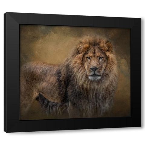 In His Prime Black Modern Wood Framed Art Print by Parker, Kelley