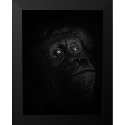 Peaceful Giant Black Modern Wood Framed Art Print by Parker, Kelley