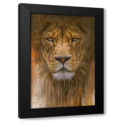 Heart of the Lion Black Modern Wood Framed Art Print by Parker, Kelley