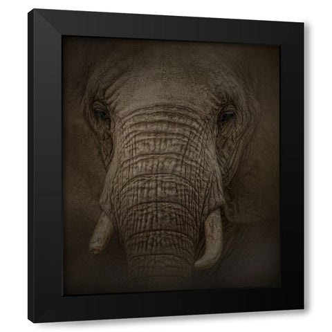 Elephant Dreams Black Modern Wood Framed Art Print by Parker, Kelley