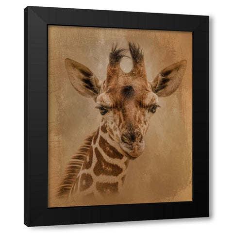 Gentle Giant Black Modern Wood Framed Art Print with Double Matting by Parker, Kelley