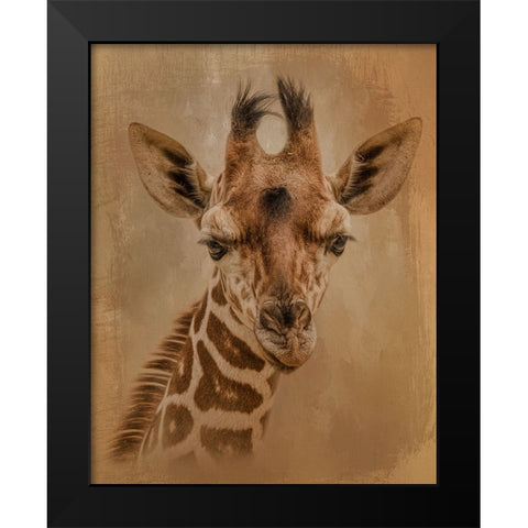 Gentle Giant Black Modern Wood Framed Art Print by Parker, Kelley