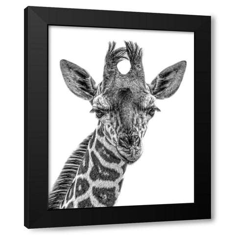 Young One Black Modern Wood Framed Art Print by Parker, Kelley