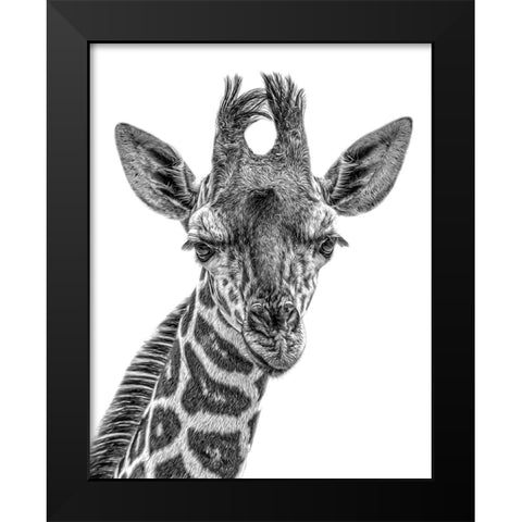Young One Black Modern Wood Framed Art Print by Parker, Kelley
