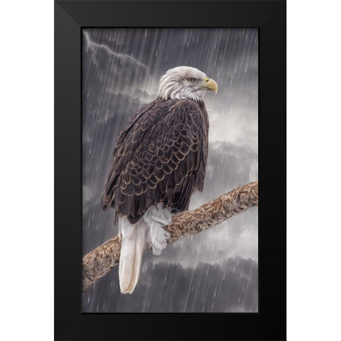 Defiance Black Modern Wood Framed Art Print by Parker, Kelley