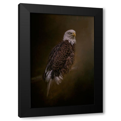 Freedom Flyer Black Modern Wood Framed Art Print by Parker, Kelley