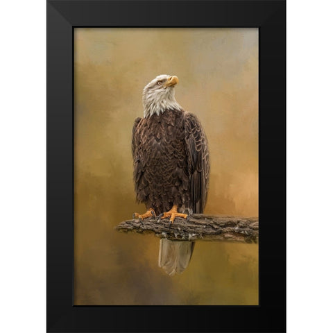 Peace Seeker Black Modern Wood Framed Art Print by Parker, Kelley