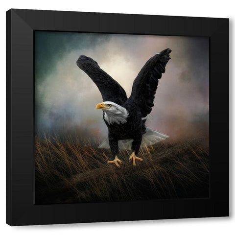 Morning Stretch Black Modern Wood Framed Art Print with Double Matting by Parker, Kelley