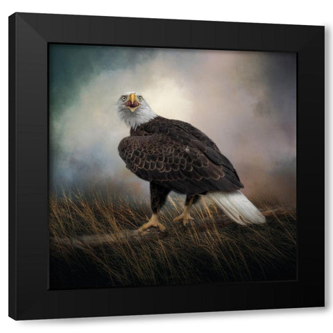 Warning Cry Black Modern Wood Framed Art Print with Double Matting by Parker, Kelley