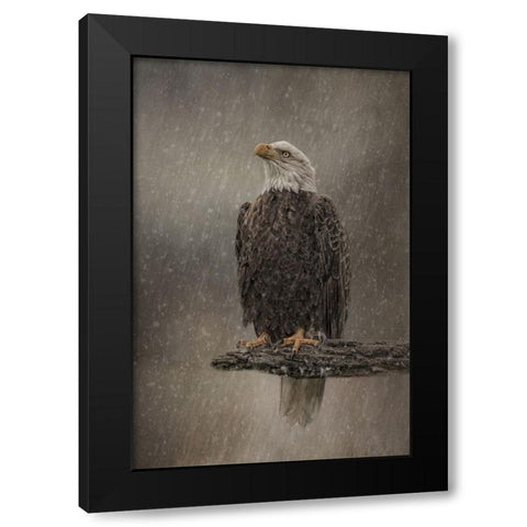 Eye on the Storm Black Modern Wood Framed Art Print by Parker, Kelley