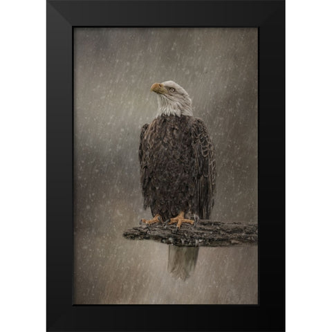 Eye on the Storm Black Modern Wood Framed Art Print by Parker, Kelley