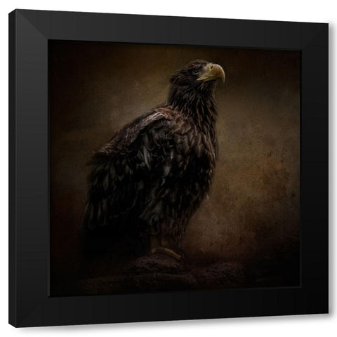 Facing the Unknown Black Modern Wood Framed Art Print by Parker, Kelley