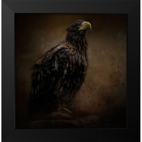 Facing the Unknown Black Modern Wood Framed Art Print by Parker, Kelley