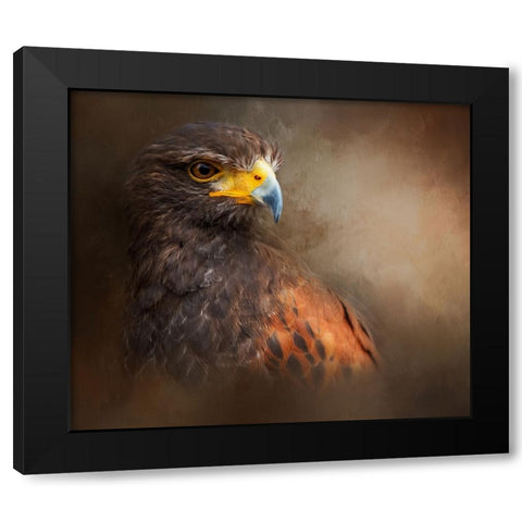 Following the Light Black Modern Wood Framed Art Print with Double Matting by Parker, Kelley