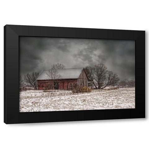 Weathering Winter Black Modern Wood Framed Art Print with Double Matting by Parker, Kelley