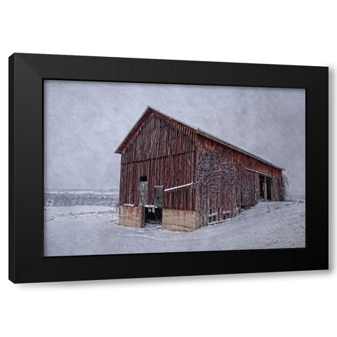 Rustic Red Black Modern Wood Framed Art Print with Double Matting by Parker, Kelley