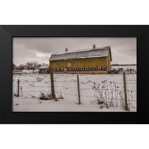 Old Yeller Black Modern Wood Framed Art Print by Parker, Kelley