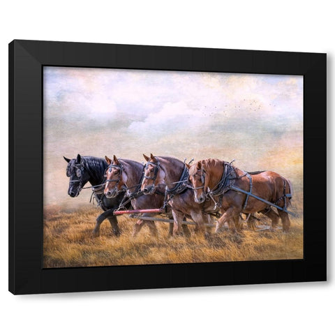 Four Horse Power Black Modern Wood Framed Art Print with Double Matting by Parker, Kelley