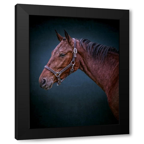 Wild Soul Black Modern Wood Framed Art Print by Parker, Kelley