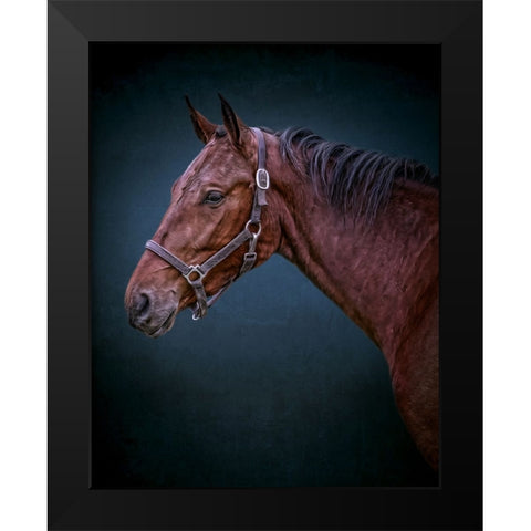 Wild Soul Black Modern Wood Framed Art Print by Parker, Kelley