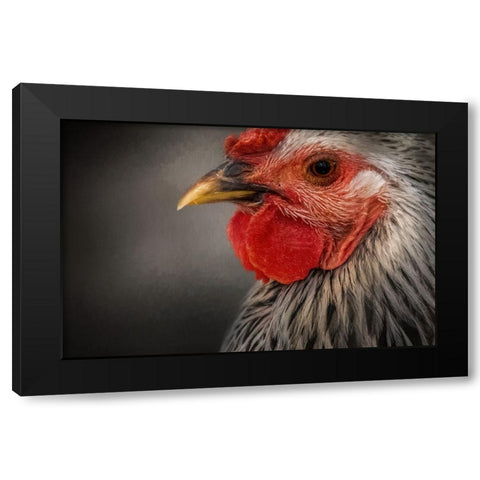 Early Riser Black Modern Wood Framed Art Print by Parker, Kelley