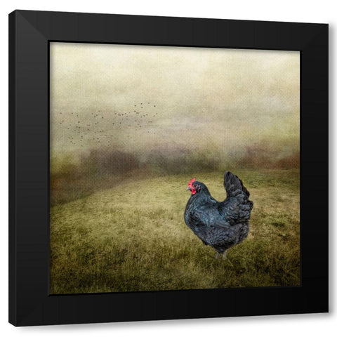 Early Morning Riser Black Modern Wood Framed Art Print with Double Matting by Parker, Kelley