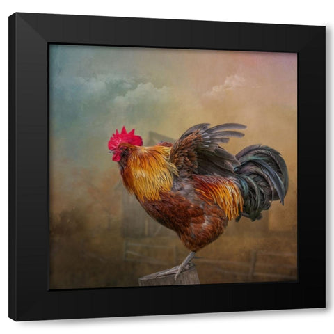 Barny and Boss Black Modern Wood Framed Art Print by Parker, Kelley
