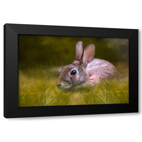 Grassy Bed Black Modern Wood Framed Art Print by Parker, Kelley