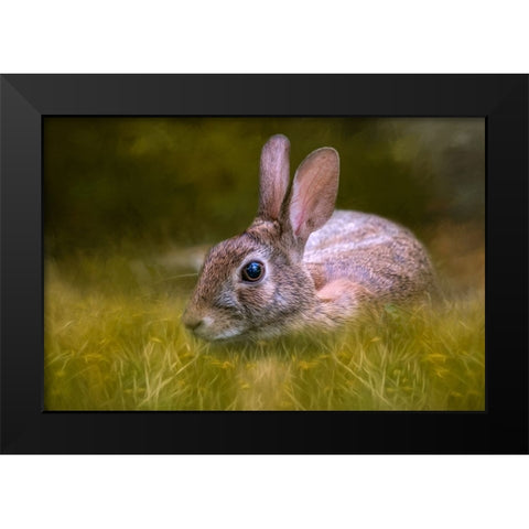 Grassy Bed Black Modern Wood Framed Art Print by Parker, Kelley