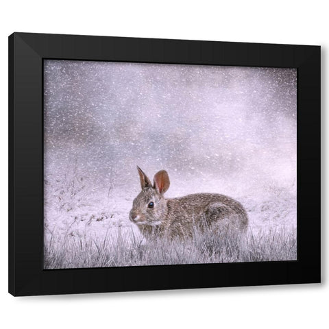 Snow Hopper Black Modern Wood Framed Art Print with Double Matting by Parker, Kelley