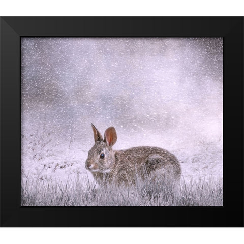 Snow Hopper Black Modern Wood Framed Art Print by Parker, Kelley