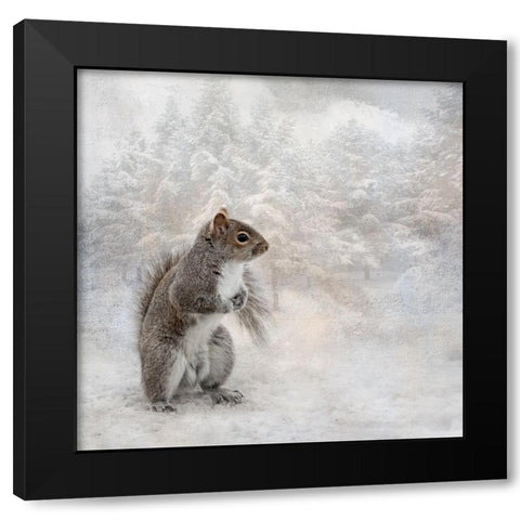Braving the Cold Black Modern Wood Framed Art Print by Parker, Kelley