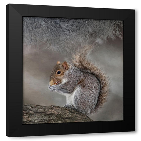 Bright Eyed and Bushy Tailed Black Modern Wood Framed Art Print with Double Matting by Parker, Kelley