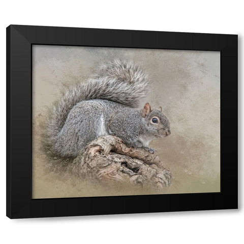 The Collector Black Modern Wood Framed Art Print with Double Matting by Parker, Kelley