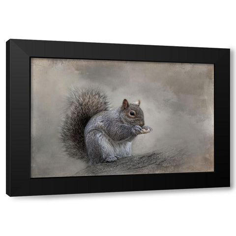 Winter Nibbles Black Modern Wood Framed Art Print by Parker, Kelley