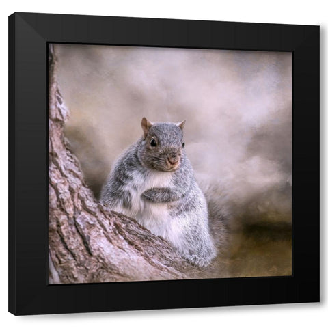 Looking Innocent Black Modern Wood Framed Art Print with Double Matting by Parker, Kelley