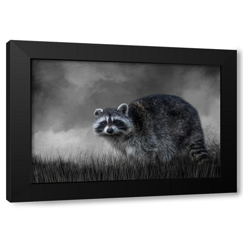 Little Rascal Black Modern Wood Framed Art Print by Parker, Kelley