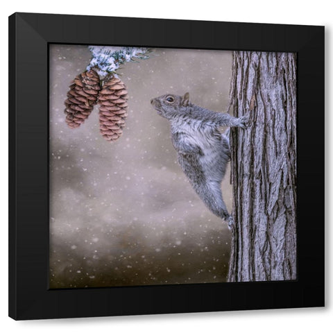 Eye on the Prize Black Modern Wood Framed Art Print by Parker, Kelley