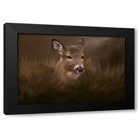 Encounter Black Modern Wood Framed Art Print with Double Matting by Parker, Kelley