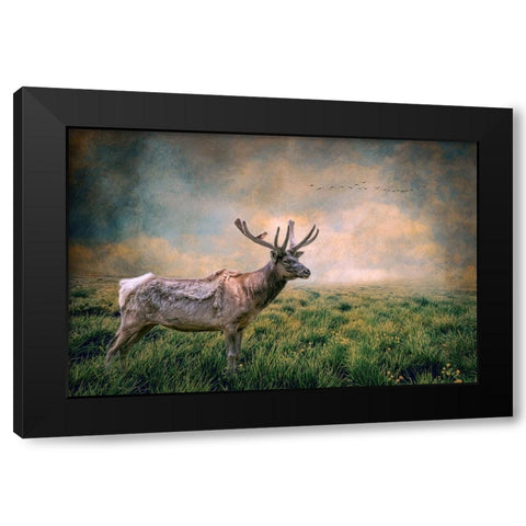 The Lone Leader Black Modern Wood Framed Art Print with Double Matting by Parker, Kelley