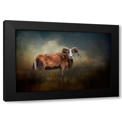 Focused on You Black Modern Wood Framed Art Print with Double Matting by Parker, Kelley