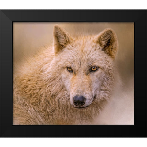 Clever Eyes Black Modern Wood Framed Art Print by Parker, Kelley