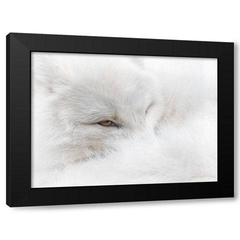 White on White Black Modern Wood Framed Art Print with Double Matting by Parker, Kelley