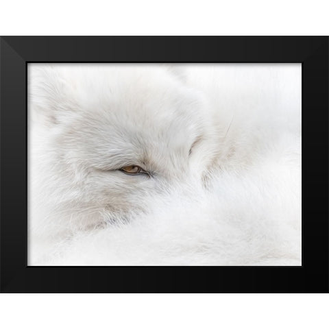 White on White Black Modern Wood Framed Art Print by Parker, Kelley