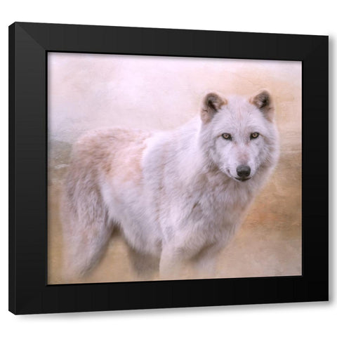 Wolf Quest Black Modern Wood Framed Art Print with Double Matting by Parker, Kelley
