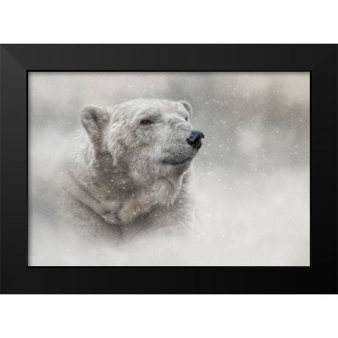 Prince of the North Pole Black Modern Wood Framed Art Print by Parker, Kelley