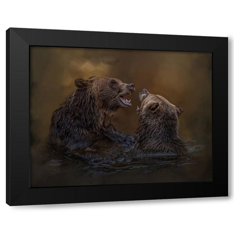 Grizzlies at Play Black Modern Wood Framed Art Print by Parker, Kelley