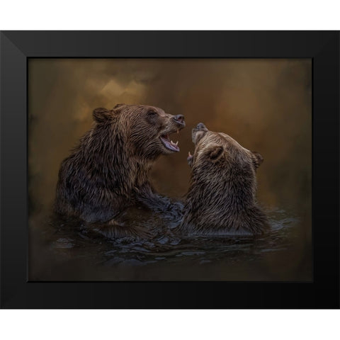Grizzlies at Play Black Modern Wood Framed Art Print by Parker, Kelley