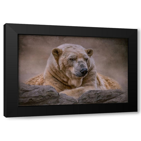 A Bears Life Black Modern Wood Framed Art Print by Parker, Kelley